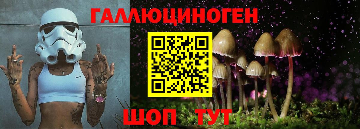 Псилоцибиновые грибы мицелий  Галлюциногенные грибы Psilocybine cubensis  Балахна  Вход с VPN 